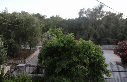 Alegria apartments - Photo 19