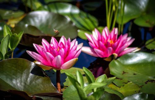 Florianshof - Foto 40