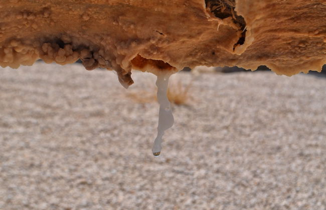 Casa rural El Salero en Moratalla - Foto 69