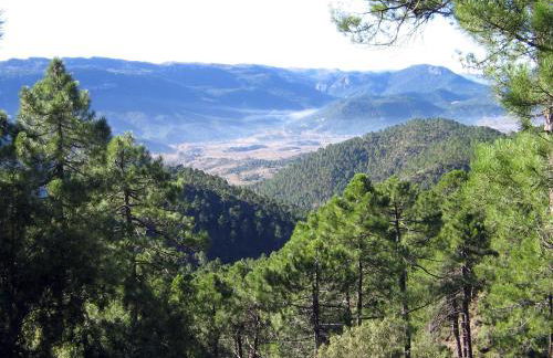 Cabañas La Toma del Agua - Foto 15