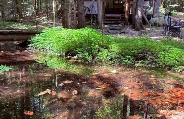 Rustic Safari Tent for a Unique Glamping Experience near Gore Mountain, New York - Photo 10