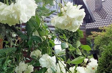 Apartamenty Leszczynowa 7 blisko Zatora - Foto 21