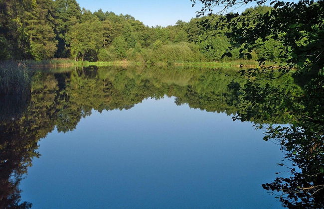 Ferienhaus am Wockersee in Parchim - Foto 15