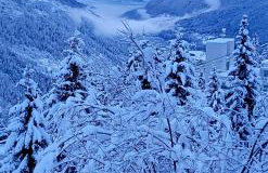 Appartamento Pian dei Mughi Marilleva 1400 - Foto 32