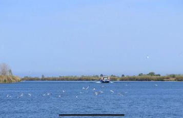 Casa La Gavina - Foto 34