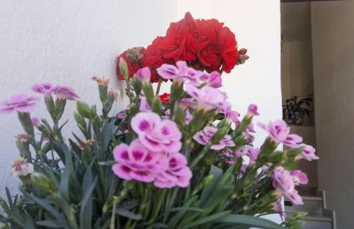 Apartamento "La Viña" - Photo 23