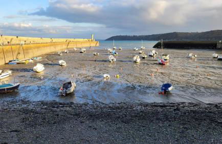 Ty linalae - Foto 29