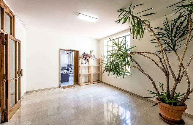 Cafè del Toro - Foto 44