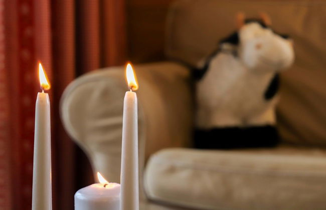 Terrasses du Paradis 5B - Foto 6