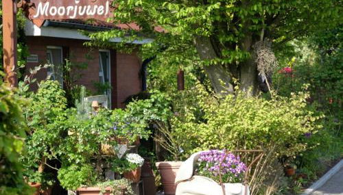 Dollhouse Modern Retreat - Foto 2, Garden