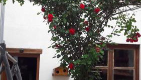 Chez Christian au coeur du val de saone - Foto 4