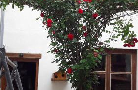 Chez Christian au coeur du val de saone - Foto 4