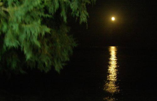 Oma's Haus- Το σπίτι της γιαγιάς - Foto 1