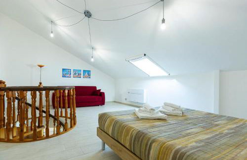 Riccio di Mare - Foto 13