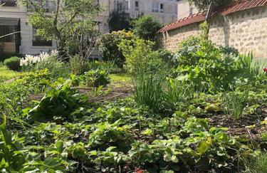 Le jardin d'Alfortville - Foto 10