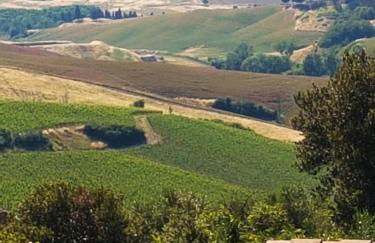 Accasamia Terricciola - Foto 9