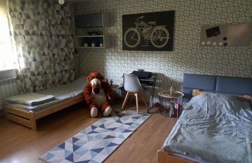 Owocowa Chojnata - Foto 2