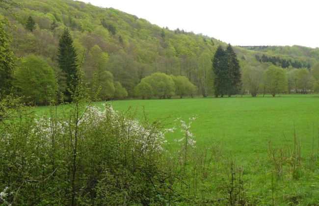 Comfort & Nature in Dankerode - Foto 24