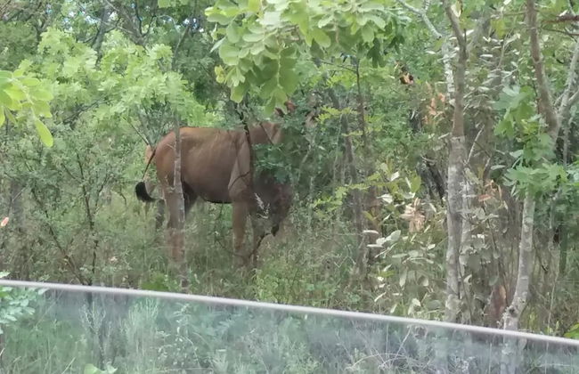 Nyanga Home set in a Secure Private Village - 2033 - Foto 18