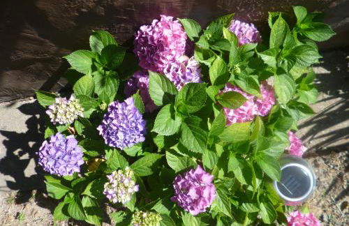 Ferienhaus ANNE - Foto 38