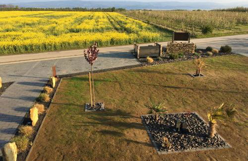 Wohnung 2 im Kirschblütenhof - Foto 8