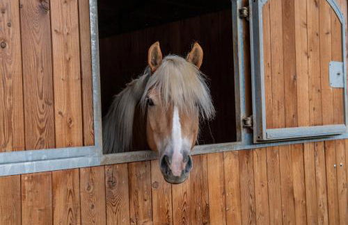 Family Farm Soc. Agr. a r.l. - Foto 42