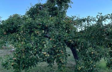 Am Rothen Hang - Foto 18