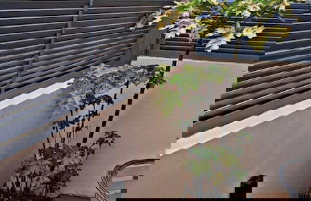 Apartamentos Santiago - Tarrafal - Foto 32