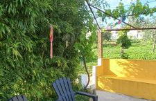 Quinta do Ti Vasco - Foto 13