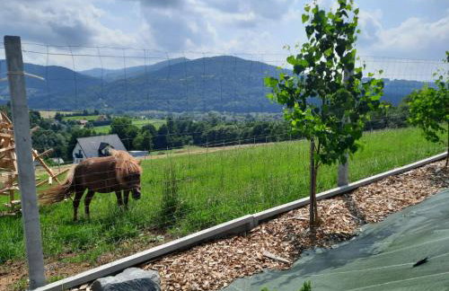 Domki- Limanowa, domki z balią i sauną - Foto 64