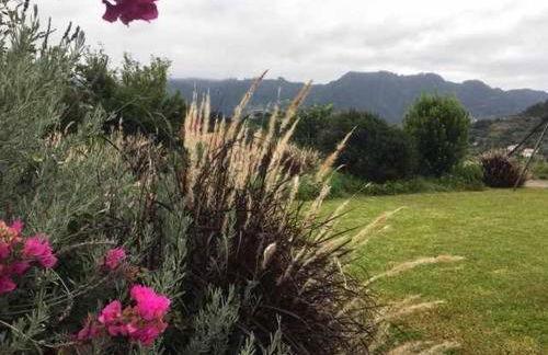 GuestReady - Casa Avó Alice - Foto 29