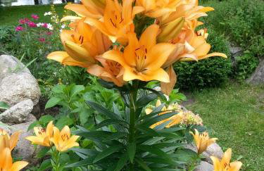 Ferienwohnung ÜckeRitz bei Familie Habben mit PKW Stellplatz - Foto 56