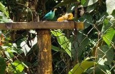 Chalé Suítes Casa na Praia de Itamambuca - Foto 68