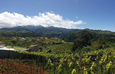 Quintinha do Álvaro - Holiday house - Foto 37