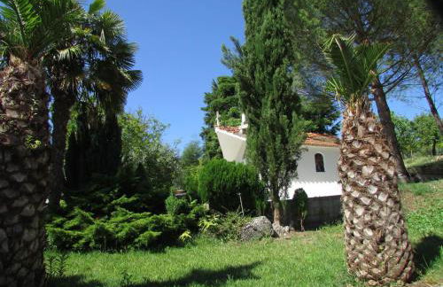 Quinta do Guerra - Foto 49