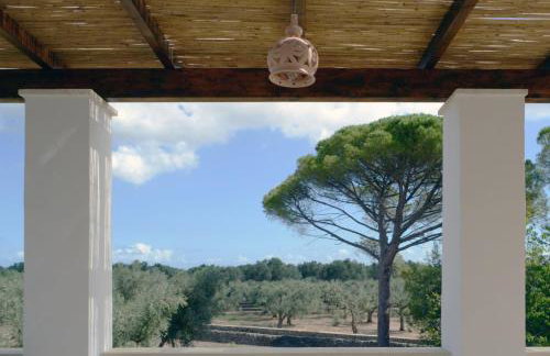 Tenuta Afra - Photo 66