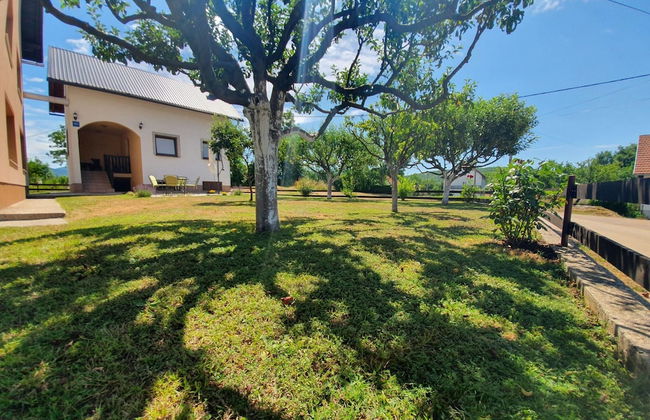 Quiet Country Side Cottage with Private Garden & WiFi near Nature Park Velebit - Foto 6