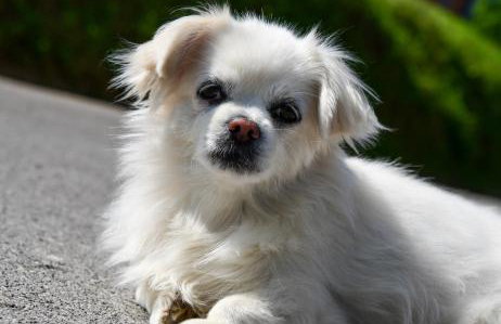 Apartman Katja - Foto 30