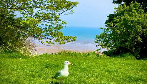 The Bay, Filey, Moonshine Cottage - Foto 5