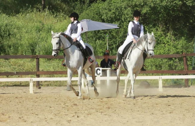 Farmhouse With Stables, Horses and the Ability to Make Horseback Riding - Foto 70