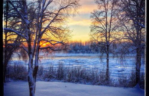 Riverside Cabins at Susitna River Lodge - Foto 6