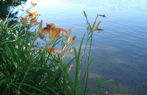 Ferienwohnung am Schöhsee - Foto 22
