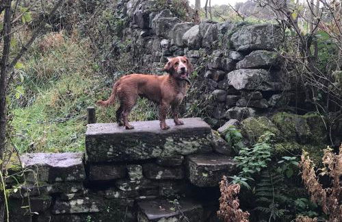 The Cruck Barn, cosy rural escape near The Peak District - Foto 29