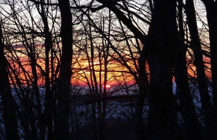 Le Case Nel Bosco Terminillo - Foto 26