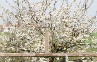 Agriturismo Cascina Papa Mora - Foto 18