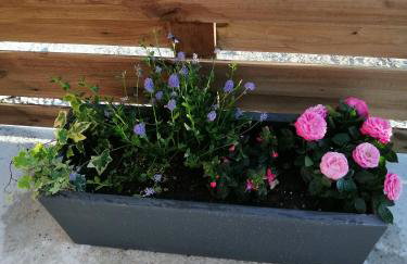 Maison de campagne "Beun'aise" - Foto 15