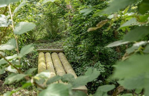 Chez Marguerite et Bienaimé - Foto 27