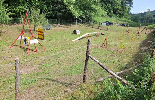 Le Rondini di Casa Bernardi, for Pet Lovers con Area Cani privata - Foto 17