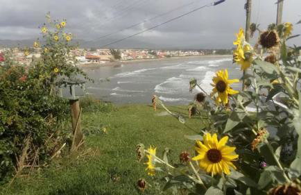 Recanto da Natureza - Foto 36