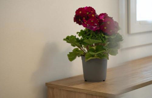 Tra il verde ed il Balsamico - Photo 49